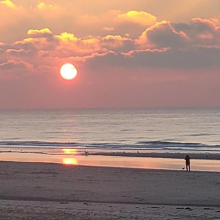 Pension Canberra Bergen aan Zee Eksteriør billede