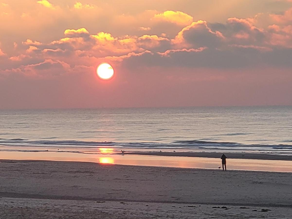 Pension Canberra Bergen aan Zee Eksteriør billede